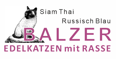 Edelkatzen mit Rasse logo